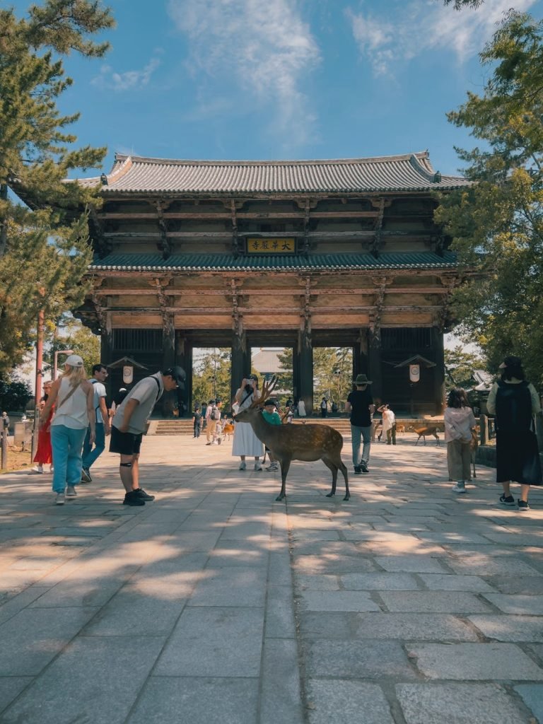 Nara Park and Temple District Travel Guide