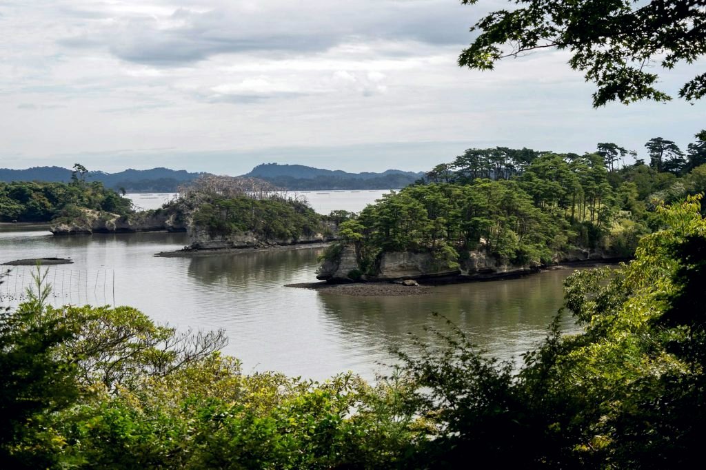 Matsushima Bay Cruise Experience