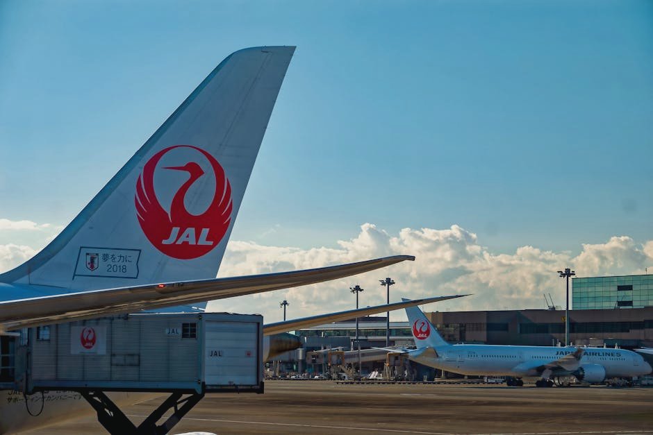 JAL Mileage Bank Membership Tier Comparison