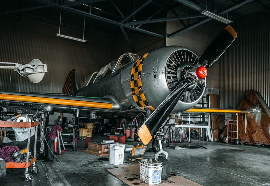 Aircraft Maintenance Programs in International Operations