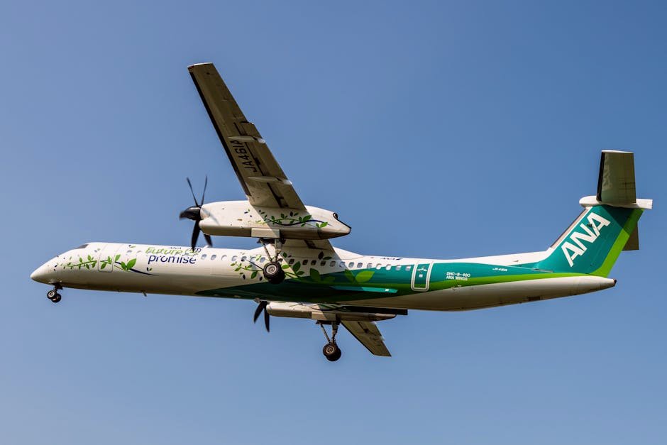 Sustainable Aviation Fuel Industry Development