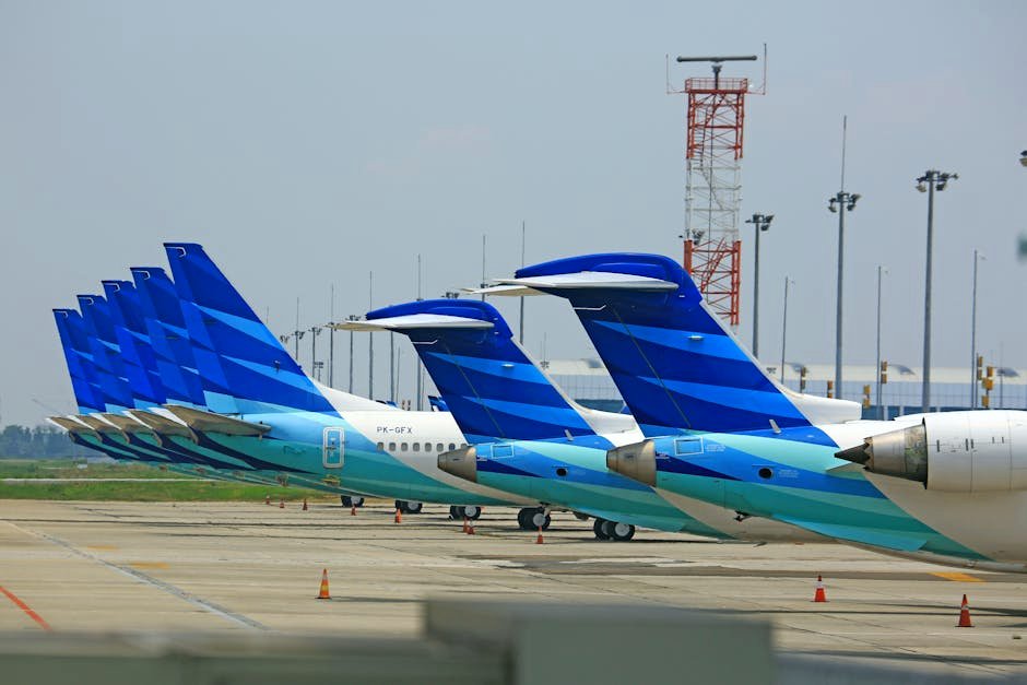 Aircraft Leasing Industry and Fleet Management