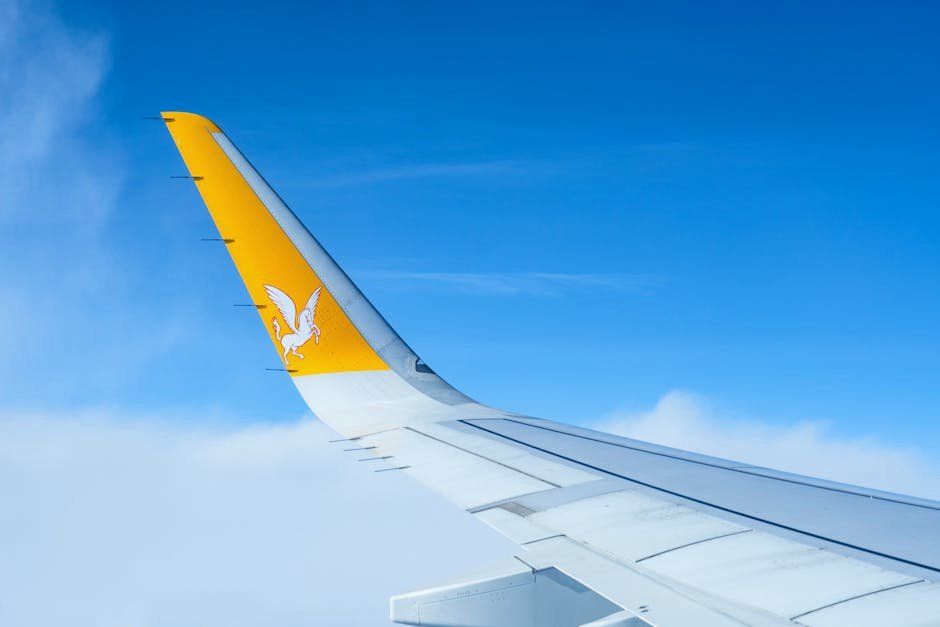Code Share Agreements in International Aviation