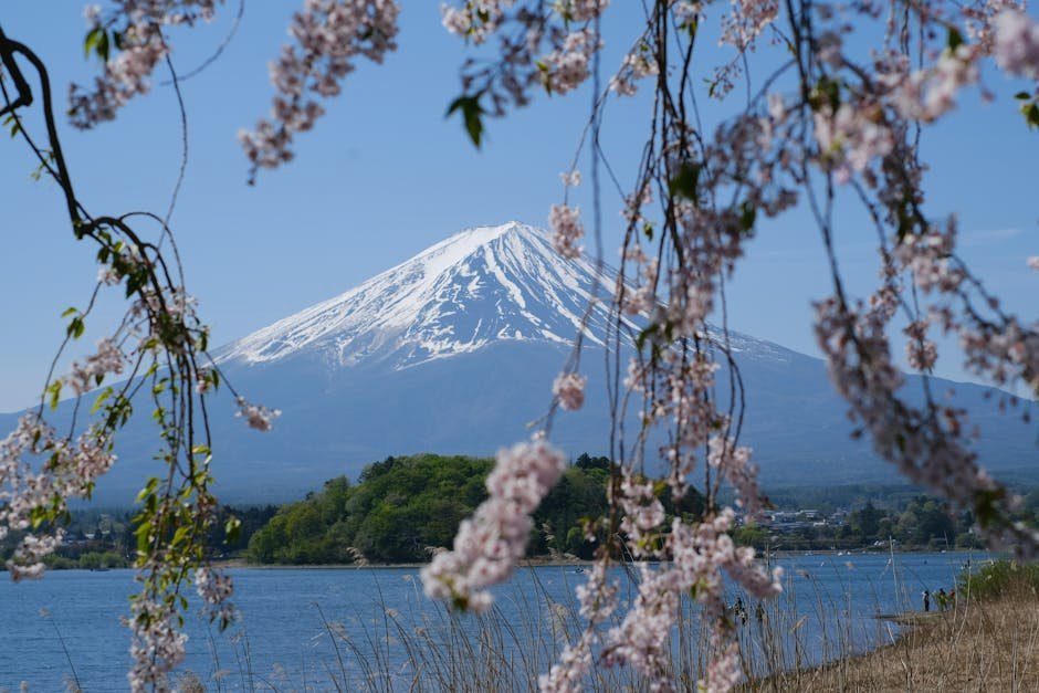 Mount Fuji Region Travel and Climbing Information