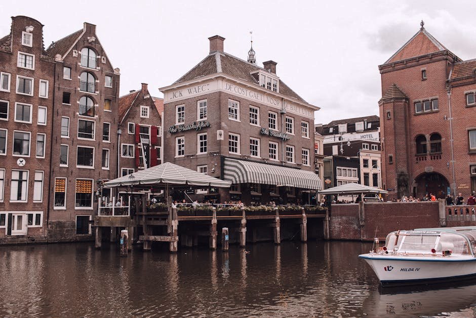 Amsterdam Sushi and Japanese Dining Guide