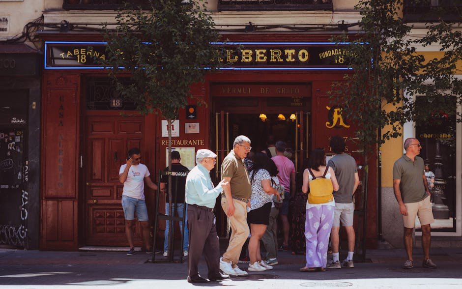 Madrid Japanese Cuisine Distribution and Highlights