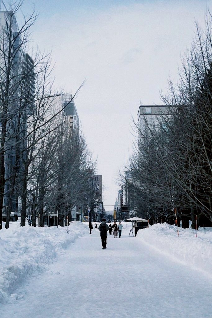 Sapporo Winter Festival in Hokkaido